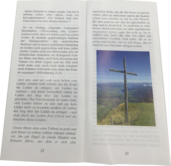 Warum lässt Gott so viel Leid auf der Erde zu?