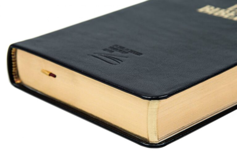 Schlachter 2000 Taschenausgabe