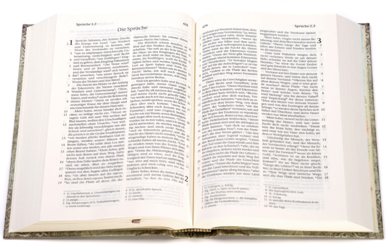 elberfelder-bibel-taschenbibel-motiv-vintage_256055_2 Elberfelder Bibel – Taschenausgabe