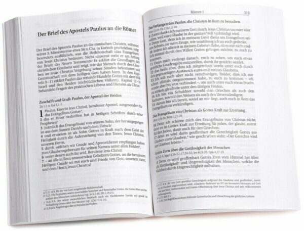 schlachter-nt-und-psalmen_256511_3_1920x1920 Schlachter Neues Testament und Psalmen