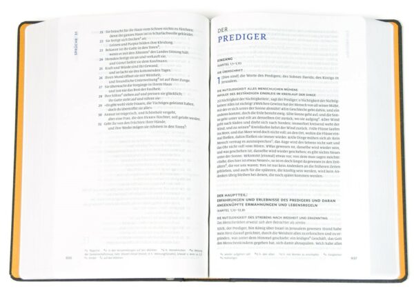 menge-2020_256020_3 Menge 2020 (Bibel)