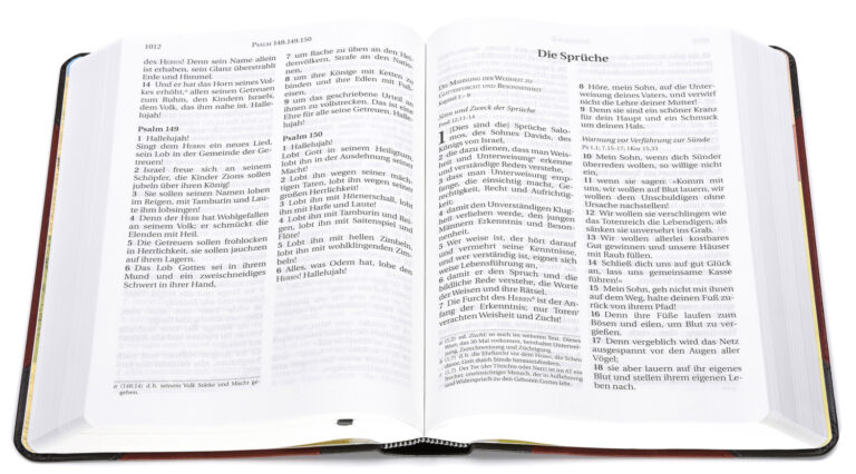 schlachter-2000_255079_2 Schlachter 2000 Bibel - Großdruckausgabe