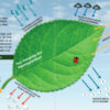 Klimawandel_1 Das Klima im Wandel