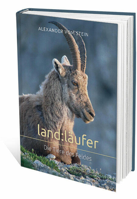 304694_cover_3D land:läufer