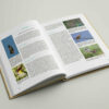 Book_Mockup_04 Schöpfer:Hand:Werk