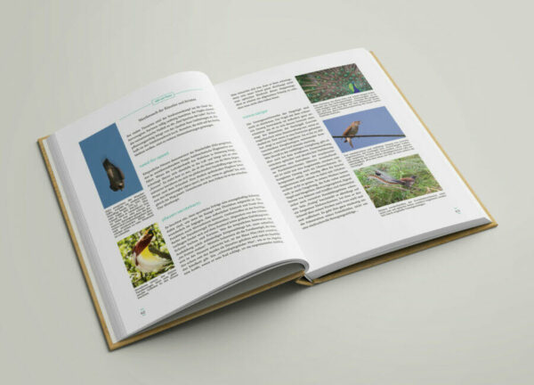Book_Mockup_04 Schöpfer:Hand:Werk