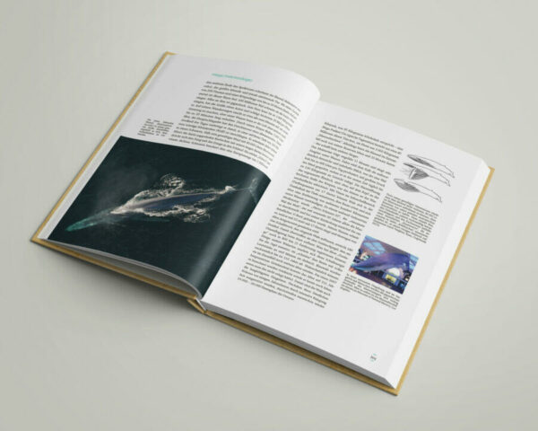 Book_Mockup_06 Schöpfer:Hand:Werk