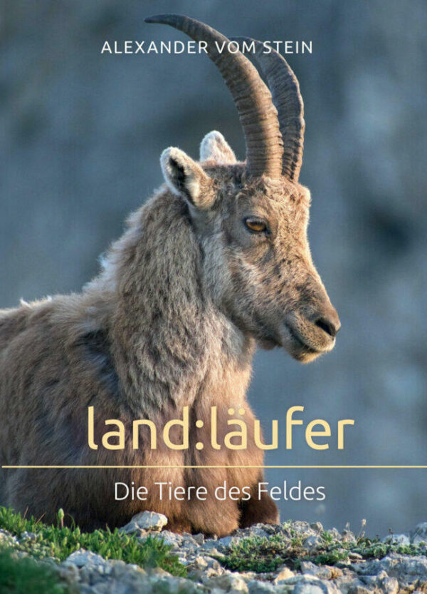 Land-Laeufer-Cover-scaled land:läufer