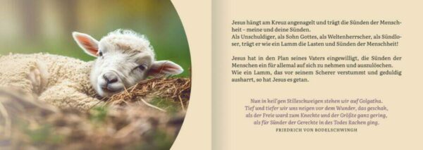 Neues-Leben-06_1920x1920 Neues Leben - Verteilheft (10 Stück)