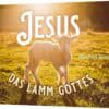 jesus-das-lamm-01_1280x1280 Jesus - das Lamm Gottes (20 Stück)