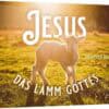 jesus-das-lamm-02_1280x1280 Jesus - das Lamm Gottes (20 Stück)