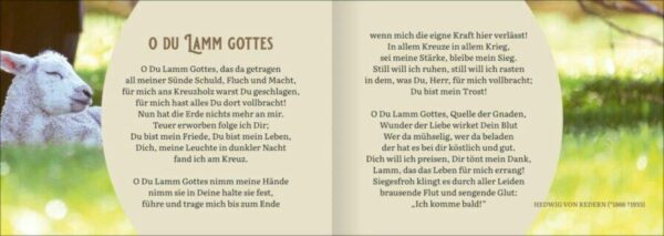 Jesus - das Lamm Gottes (20 Stück)