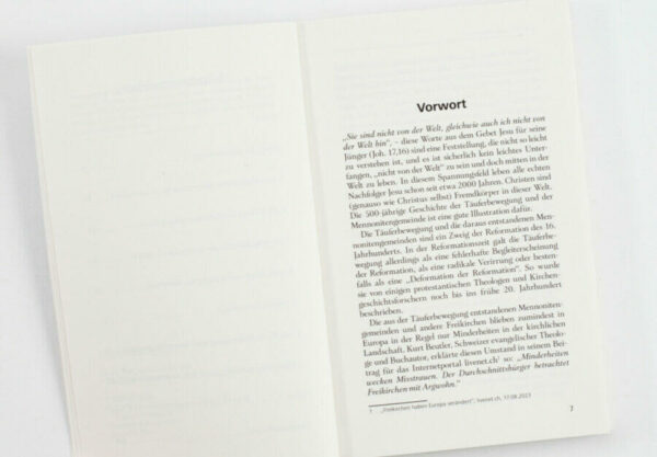 In der Welt, nicht von der Welt