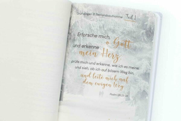 mit-gottes-hilfe-in-die-ehe-9783867013307~8 Mit Gottes Hilfe in die Ehe